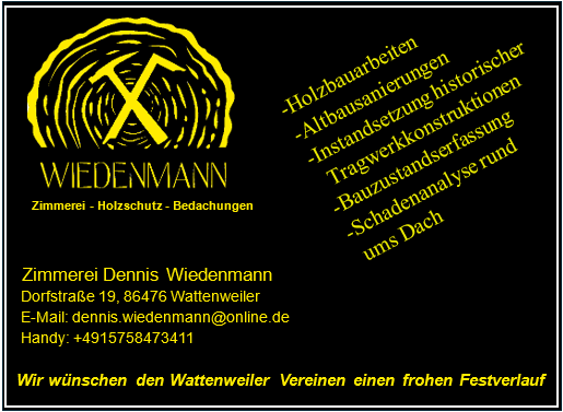 Logo Widenmann Zimmerei + Holzschutz + Bedachungen